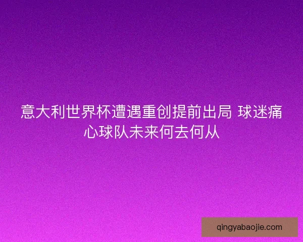 意大利世界杯遭遇重创提前出局 球迷痛心球队未来何去何从 意大利世界杯遭遇重创提前出局 球迷痛心球队未来何去何从