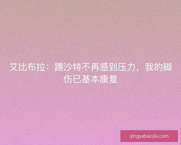 艾比布拉：踢沙特不再感到压力，我的脚伤已基本康复