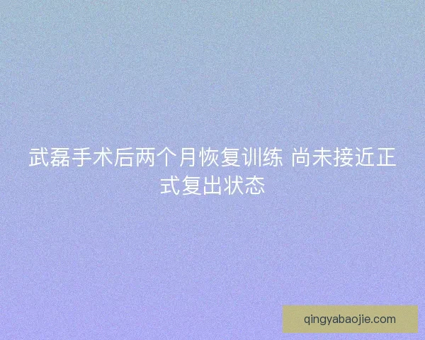 武磊手术后两个月恢复训练 尚未接近正式复出状态