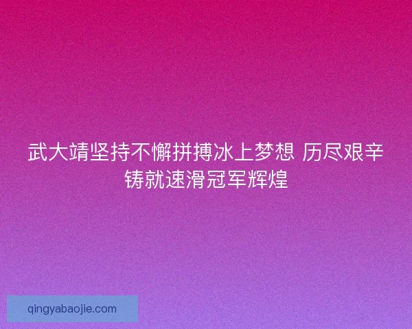 武大靖坚持不懈拼搏冰上梦想 历尽艰辛铸就速滑冠军辉煌